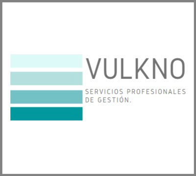 servicios Profesionales de Gestión